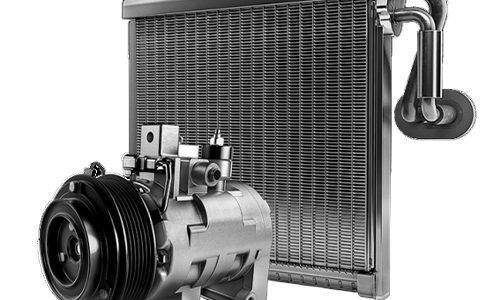serper image 2203 1778469824
